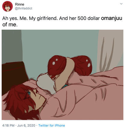 500 Dollar Plushie Meme